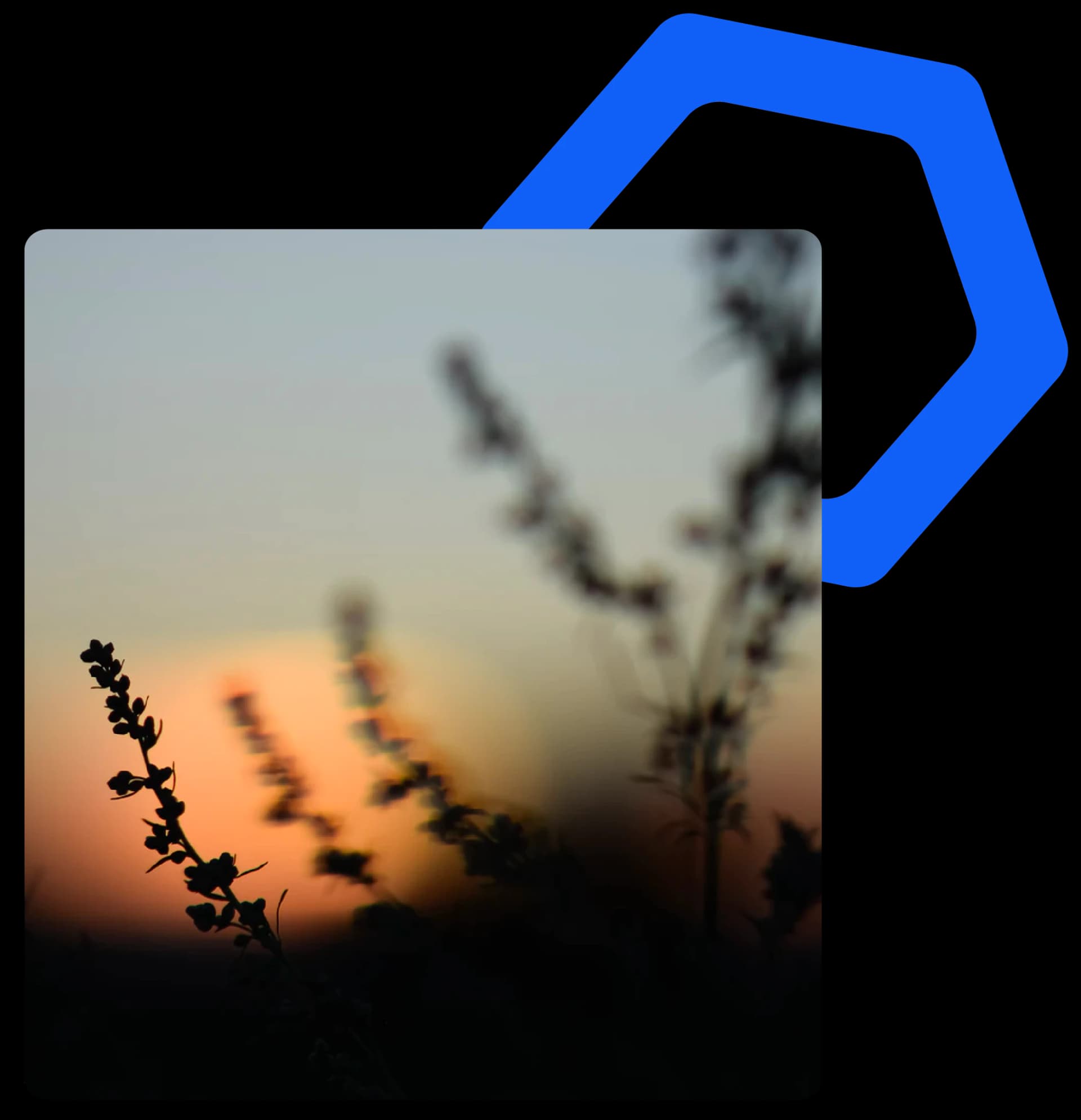 Ce images 24 3d044424cc.
